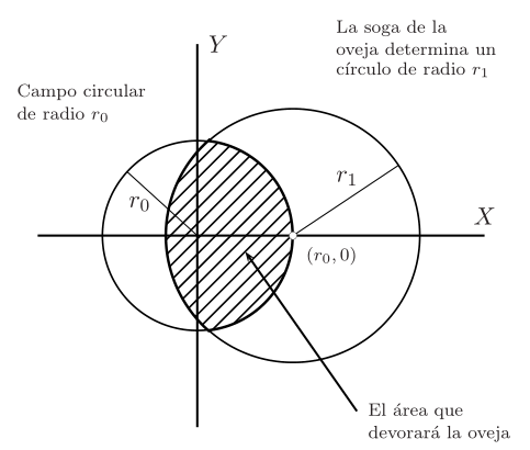 Imagen: oveja tragona